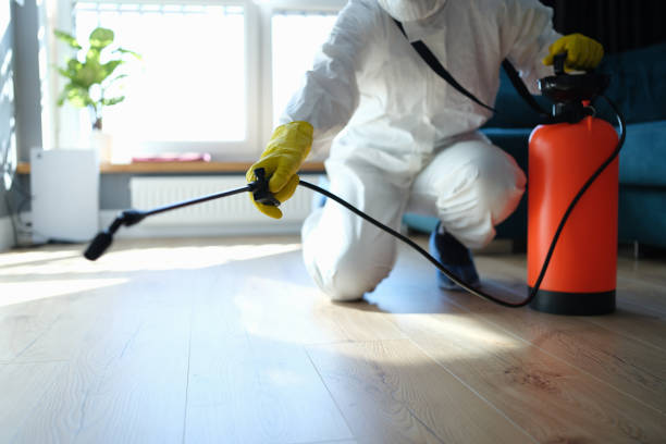 Reliable Odor Removal contractor in Olivet, NJ by Trauma Clean Pros